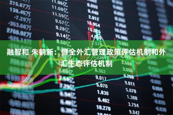 融智和 朱鹤新：健全外汇管理政策评估机制和外汇生态评估机制